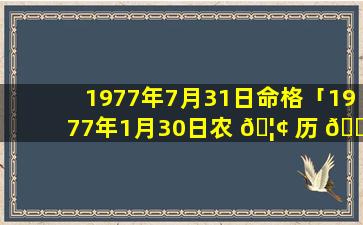 1977年7月31日命格「1977年1月30日农 🦢 历 🌻 是多少」